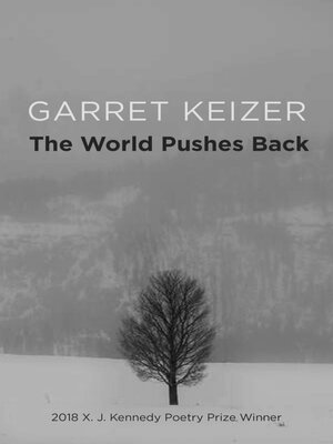 cover image of The World Pushes Back